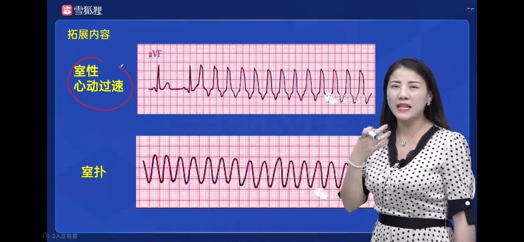 循环系统的配图 - 曙光梦想-大学学习版