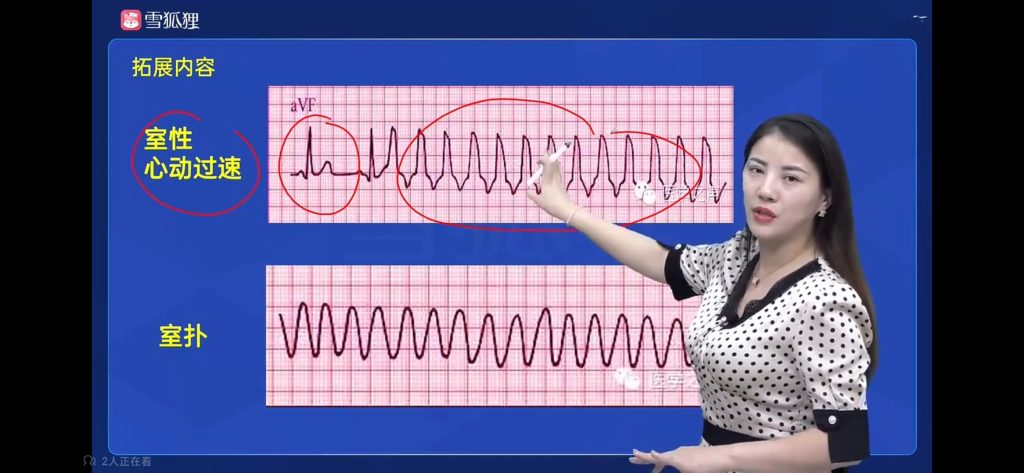 循环系统的配图2 - 曙光梦想-大学学习版