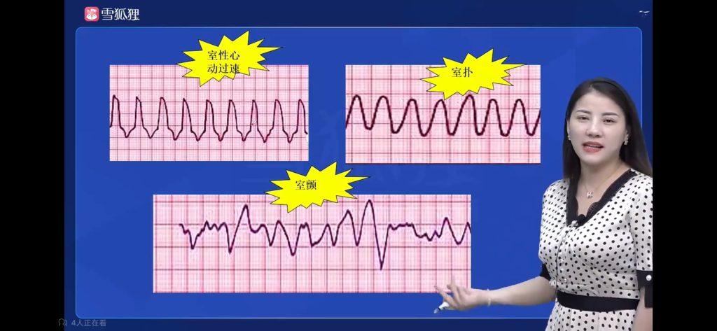 循环系统的配图3 - 曙光梦想-大学学习版